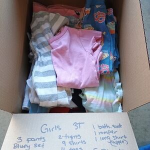 Girls Clothing Bundle 3T 30pcs Bluey Set, Pajamas, Bathing suit, Dress,Holiday